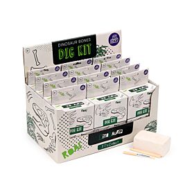 Kit de Arheolog - Cranii de Dinosaur