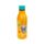 Termos în Oțel 500 ml - Broască Tropicală