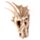 Cap Scheletru de Dragon - Decorativ