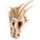 Cap Scheletru de Dragon - Decorativ
