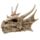 Cap Scheletru de Dragon 