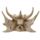 Cap Scheletru de Dragon 