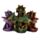 Trei Baby Dragoni Citind o Carte
