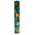 Tub cu 12 Creioane Colorate - Regatul Animalelor - Animal Kingdom
