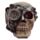 Craniu cu Motive Steampunk
