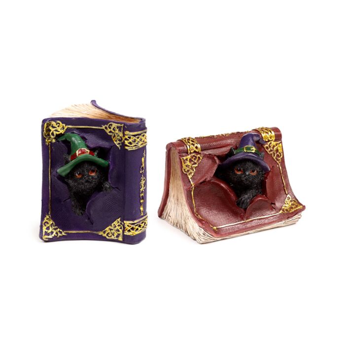 Pisică Neagră care Iese din Cartea de Vrăji