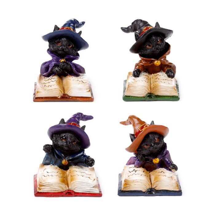 Pisică Neagră pe Cartea de Vrăji - 