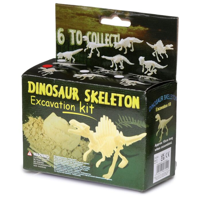 Kit de Arheolog - Scheletru de Dinosaur