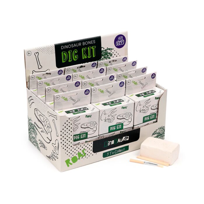 Kit de Arheolog - Cranii de Dinosaur