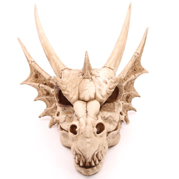 Cap Scheletru de Dragon - Decorativ