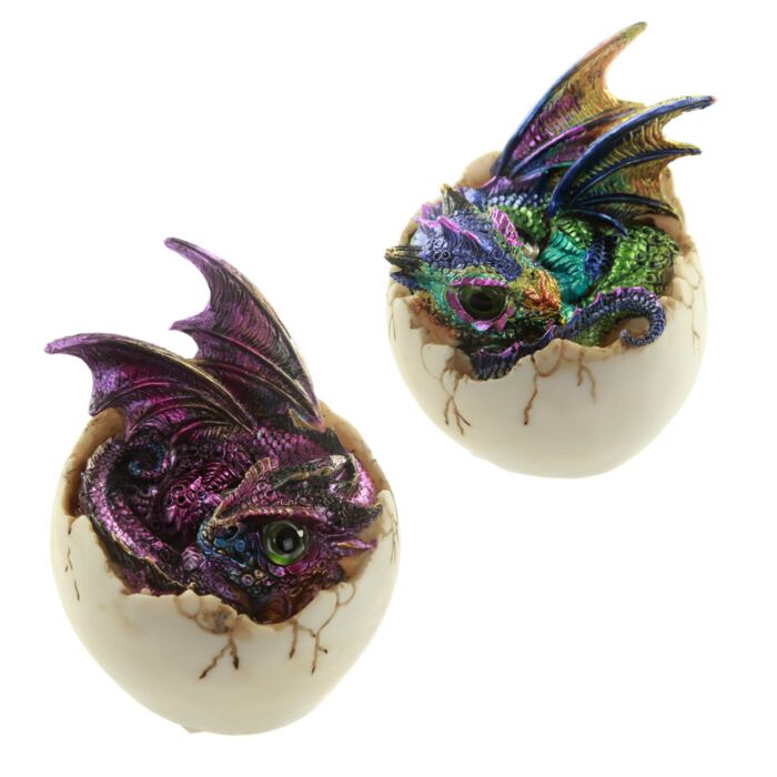 Baby Dragon - Iese din Ou - Enchanted Nightmare