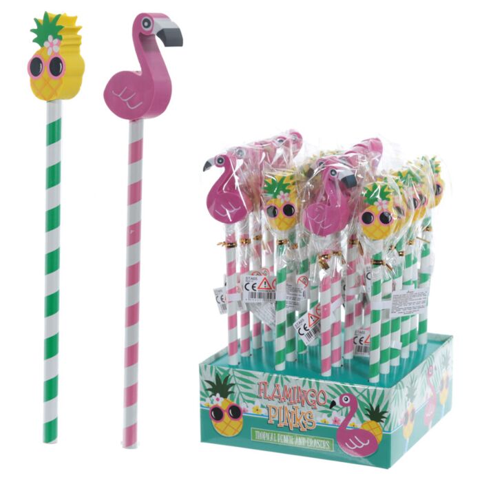 Set Creion și Radieră - Pasăre Flamingo și Ananas