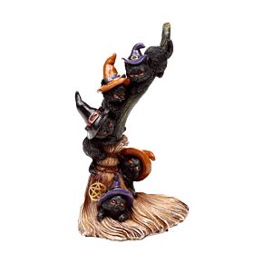 Pisici Negre care se Cațără pe Mătură Pisici Negre care se Cațără pe Mătură