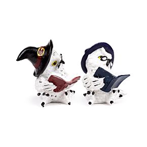 Bufnițe pe Cărți Magice Bufnițe pe Cărți Magice