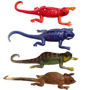 Camaleon Schimbă Culoare
